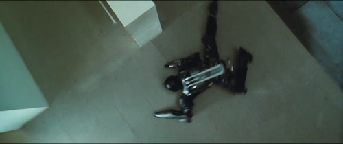 Chinese Zodiac (2012)